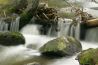Antelope Creek.jpg